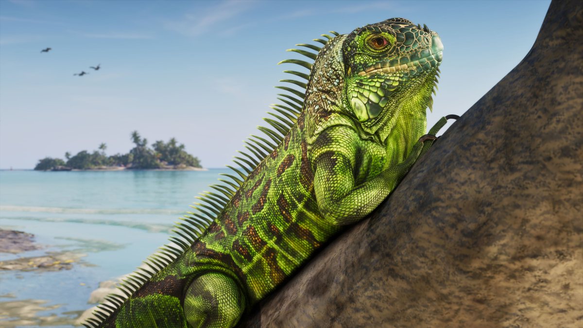 Una iguana verde adulta trepada a una roca, en primer plano, con el mar turquesa de los cayos de Leónida y un islote al fondo